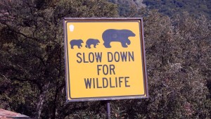 Slow down for Wildlife