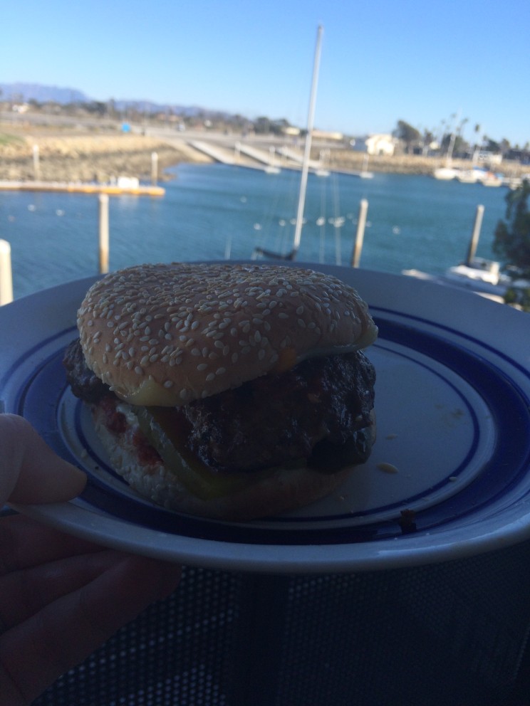 Hamburger mit Aussicht