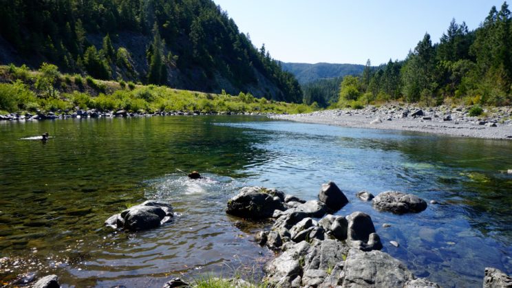 Grünes Oregon und für Anton Fluss- statt Ozeanspaß